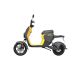 Segway B110S